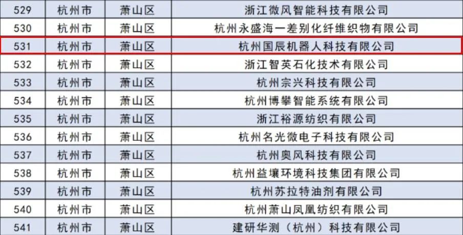 國辰被評(píng)為2023省級(jí)專精特新中小企業(yè)